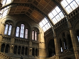 Natural History Museum Inside